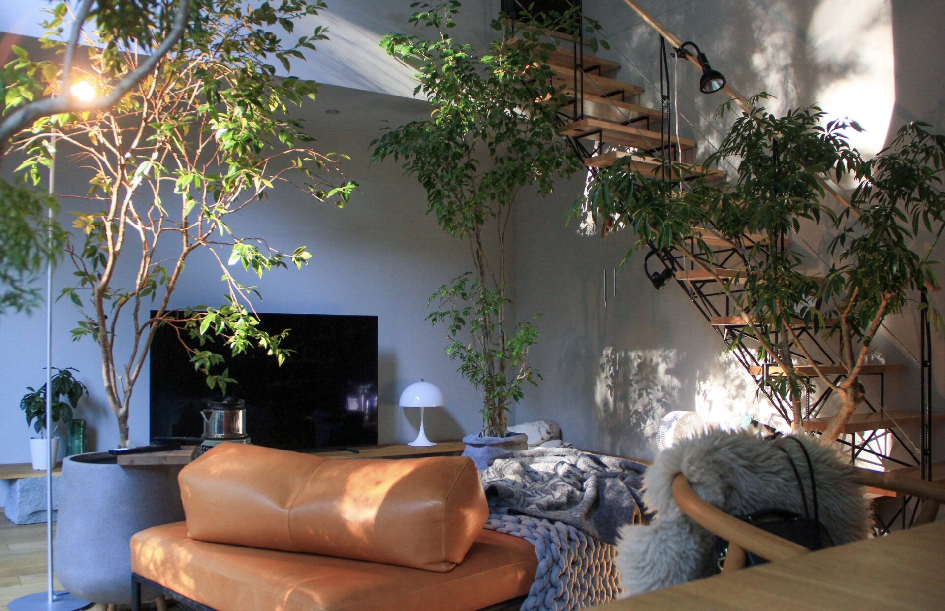 施工事例 No. 101 光と空気が通る、美しい動線。