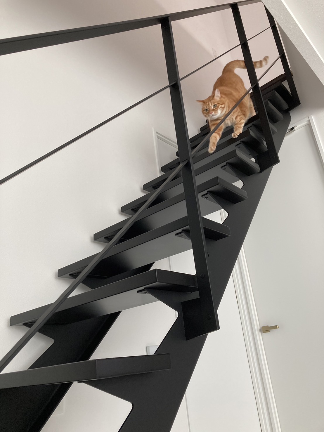 施工事例 No. 286 ネコも安心なシースルー階段 - Part 3