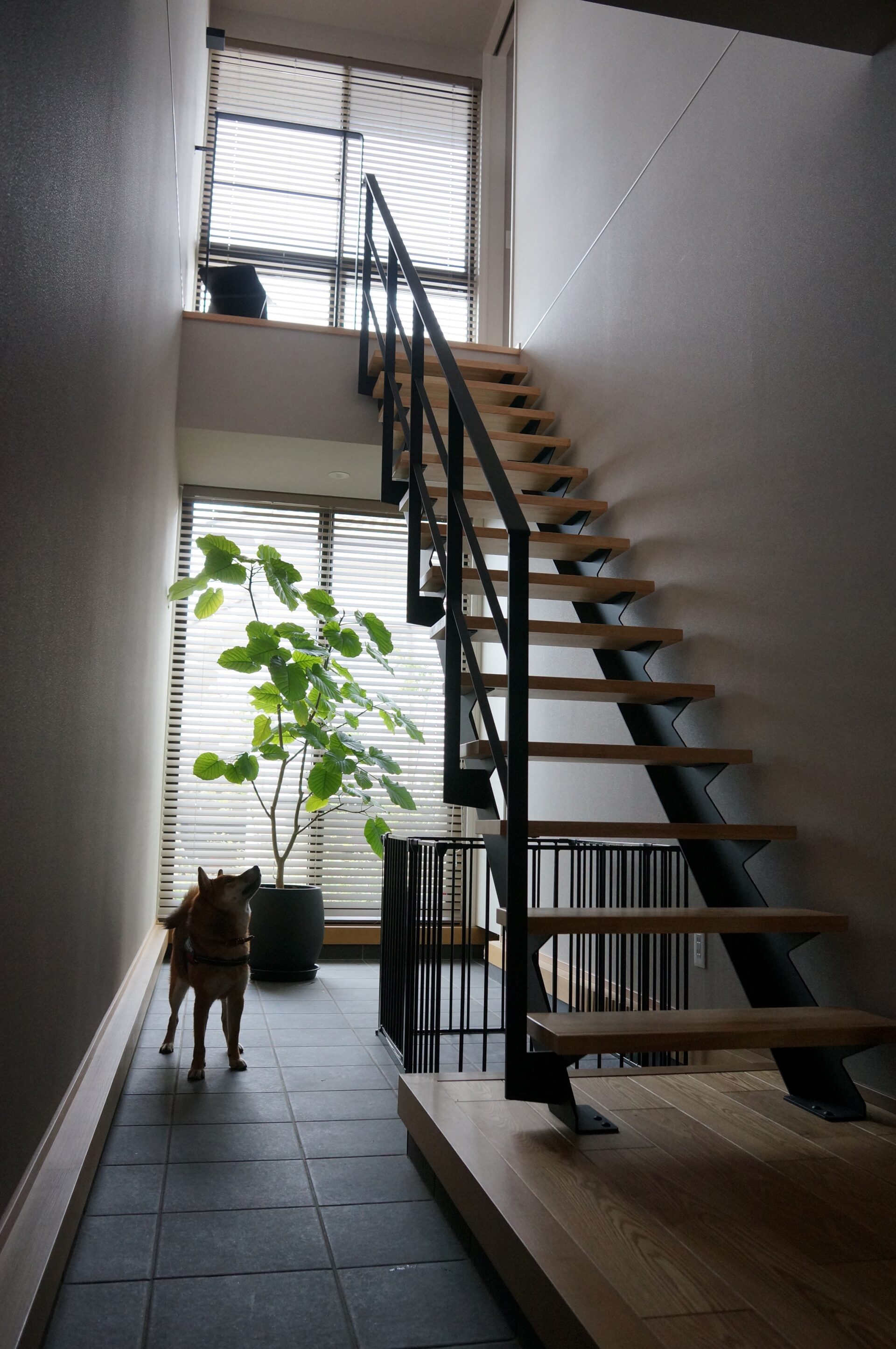 施工事例 No. 230 愛犬と過ごす、静謐な吹抜けの土間 - Part 6