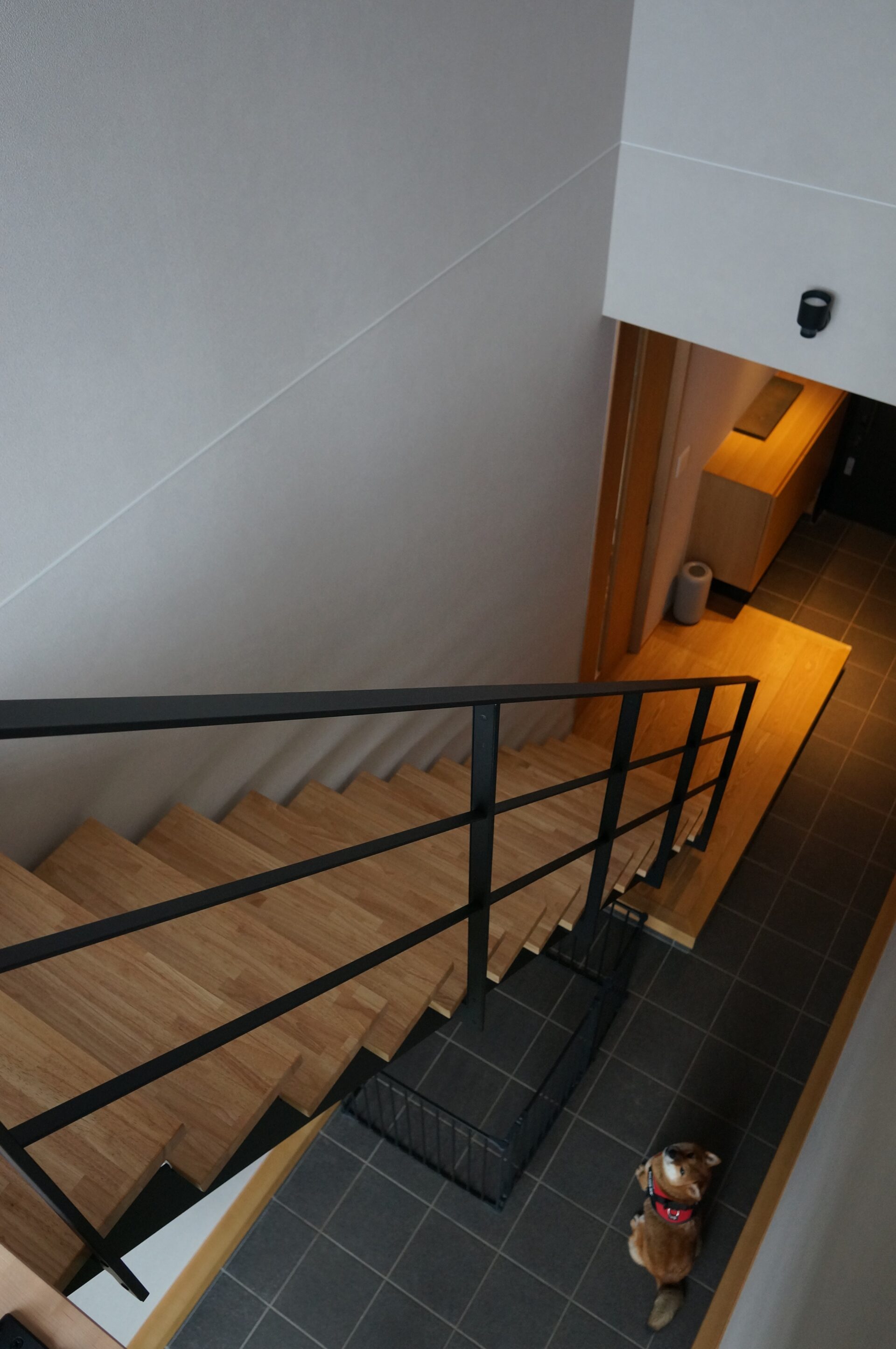 施工事例 No. 267 愛犬と過ごす、静謐な吹抜けの土間 - Part 3