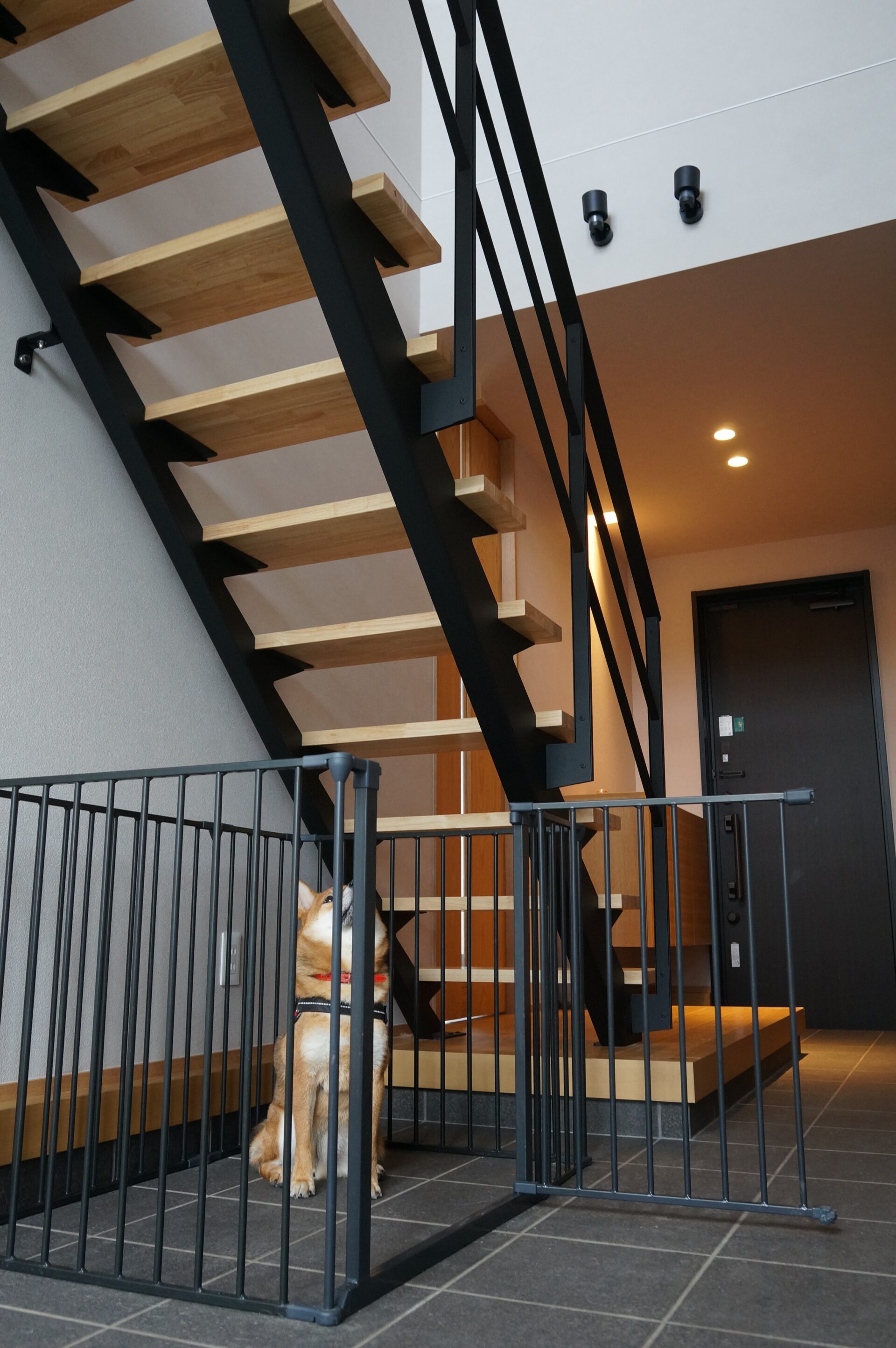 施工事例 No. 336 愛犬と過ごす、静謐な吹抜けの土間 - Part 2