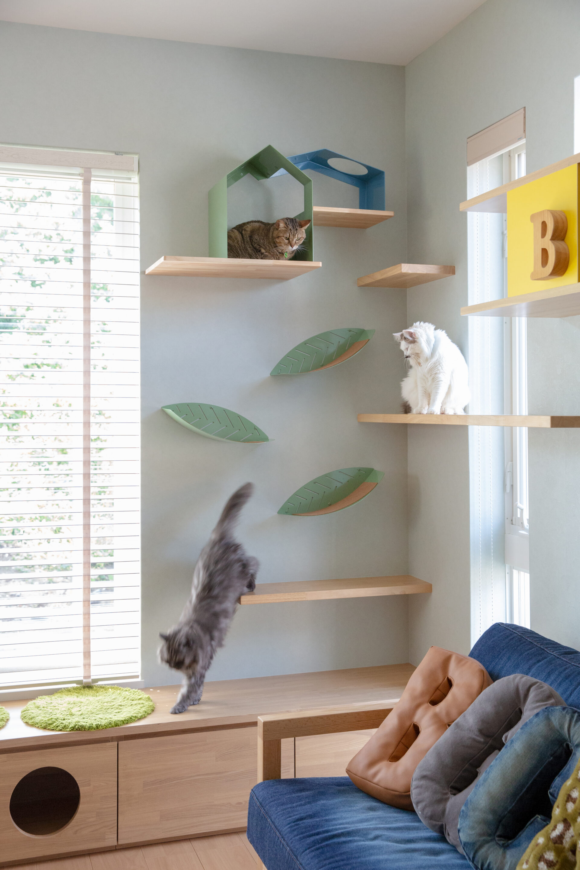 施工事例 No. 007 愛猫にとっても快適な家を