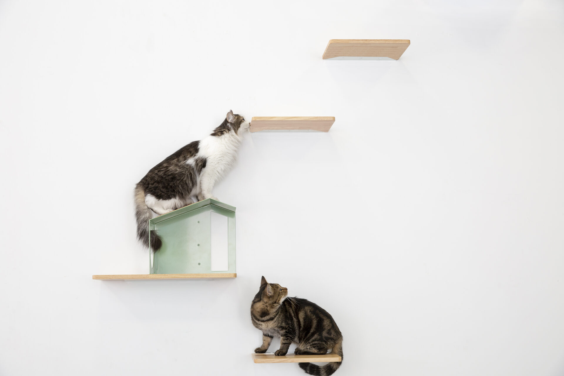 施工事例 No. 008 愛猫にとっても快適な暮らしを