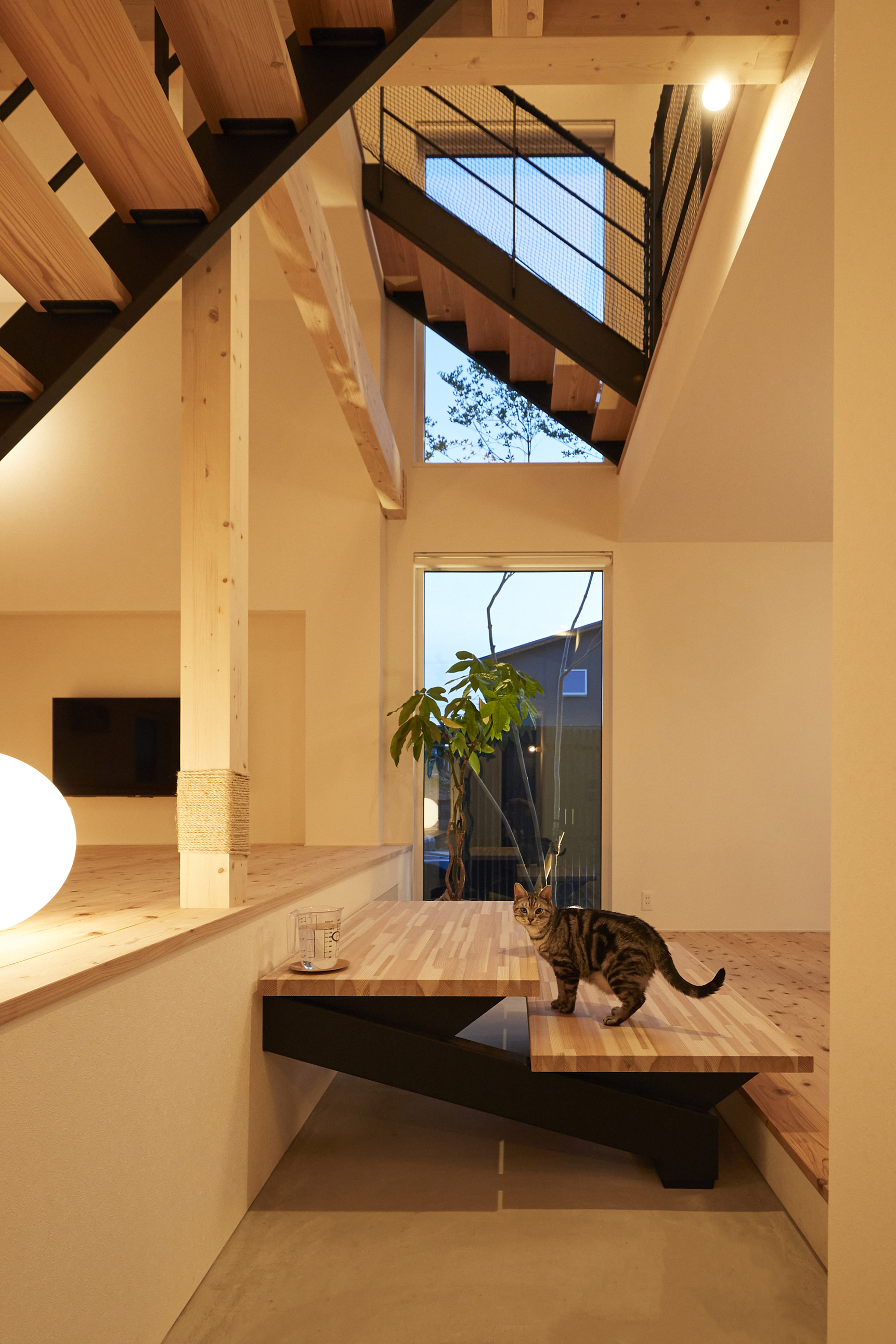 施工事例 No. 427 愛猫と暮らす6層の家